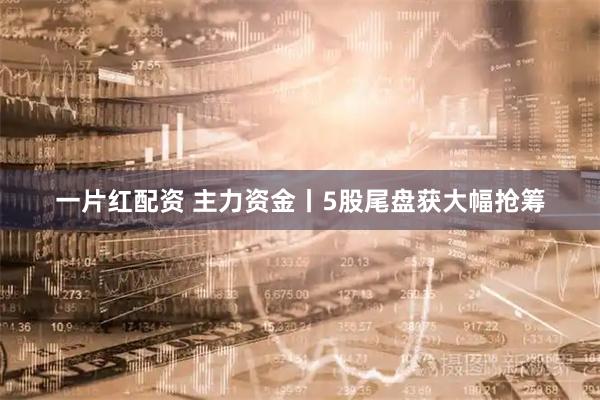 一片红配资 主力资金丨5股尾盘获大幅抢筹